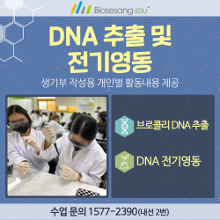 DNA추출 및 전기영동