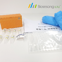 ED4001 중합효소연쇄반응 PCR kit (10인KIT) /제작2주 소요